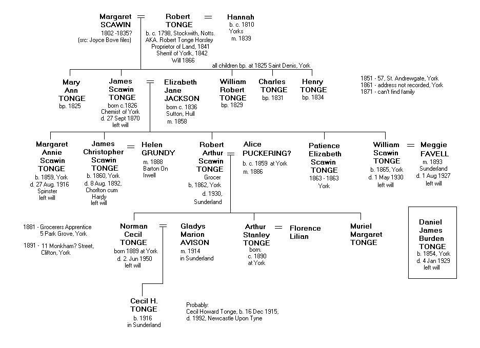 york family tree