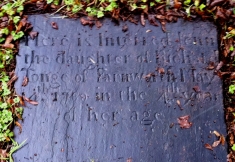 Here is interred JENNY the daughter of RICHARD TONGE of Farnworth May 14th 1780 in the 4th year of her age